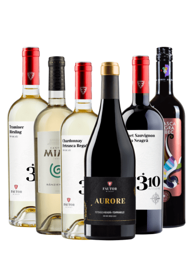 Weinpaket Rot - Weiß. Sechs qualitative, hochwertige Weiß-, und Rotweine, komplex und elegant, von Jungwein bis zum reifen Cuvée.