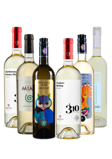 Weinpaket Weiß. Erstklassige Weißweine von Weinkeller Fautor und Castel MIMI aus Moldawien