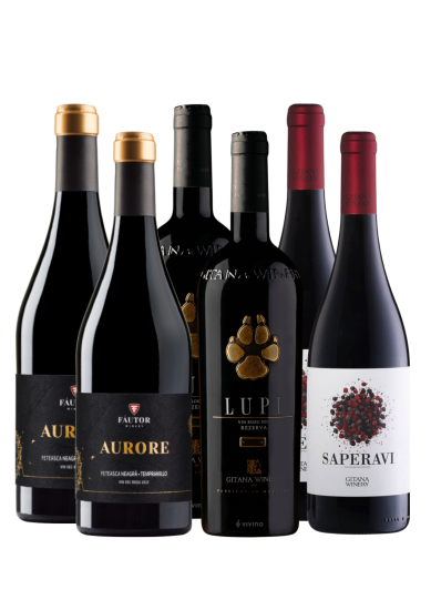 Premium Rotweine aus Moldawien. Die beste Rotweine. Lupi-Weingut Gitana, Saperavi-Weingut Gitana und AURORE Feteasca Regala-Tempranillo von Weinkeller Fautor.
