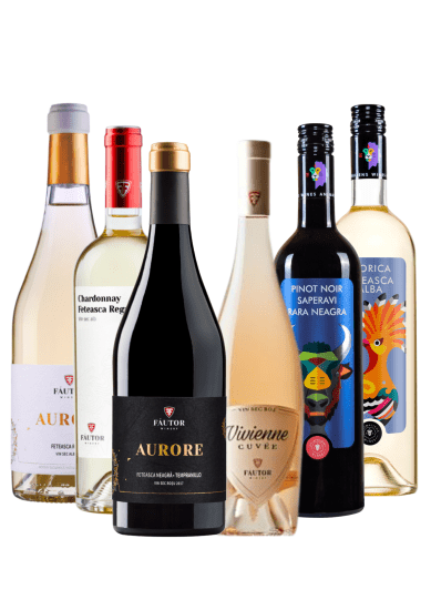 Weinpaket Castel Mimi & Fautor. Sechs qualitative, hochwertige Weine für Sie ausgewählt, von Jungwein bis zum aromatischen Cuvee.