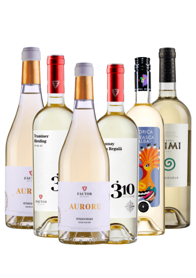 Weinpaket Weiß. Erstklassige Weißweine von Weinkeller Fautor und Castel MIMI aus Moldawien